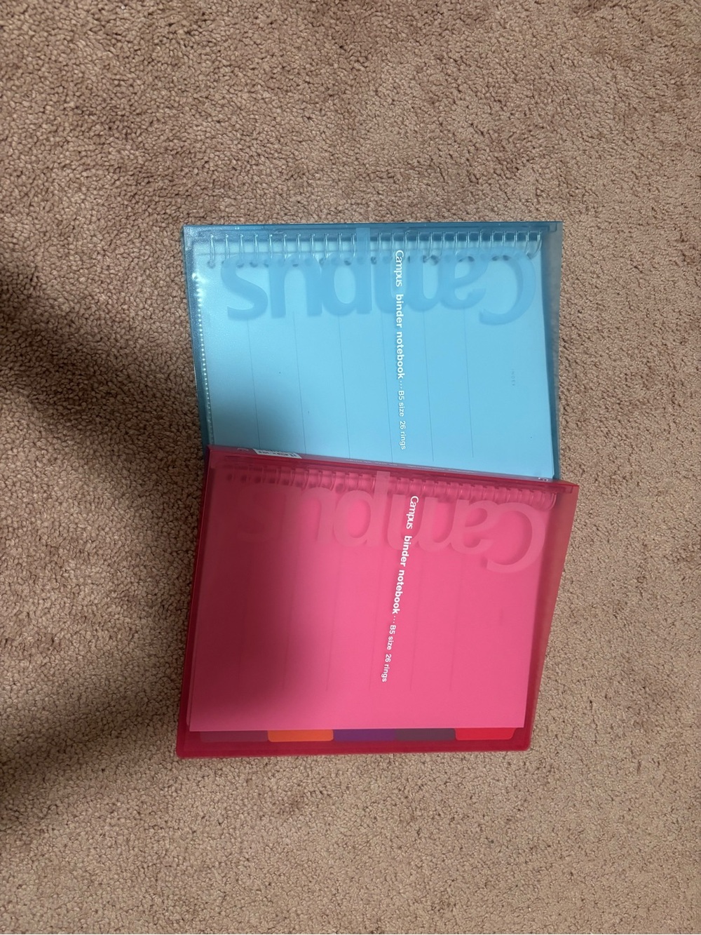 Dual-Pack Spiral Tabbed Notebooks in Pink & Blue